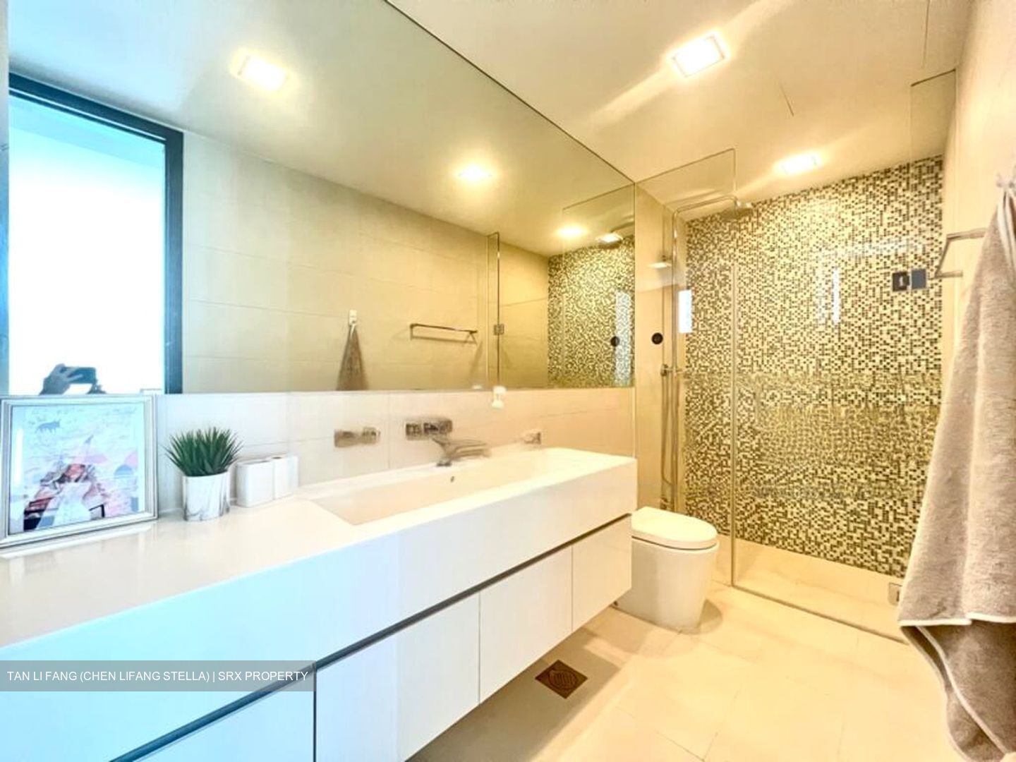 The Rochester Residences (D5), Apartment #460382971